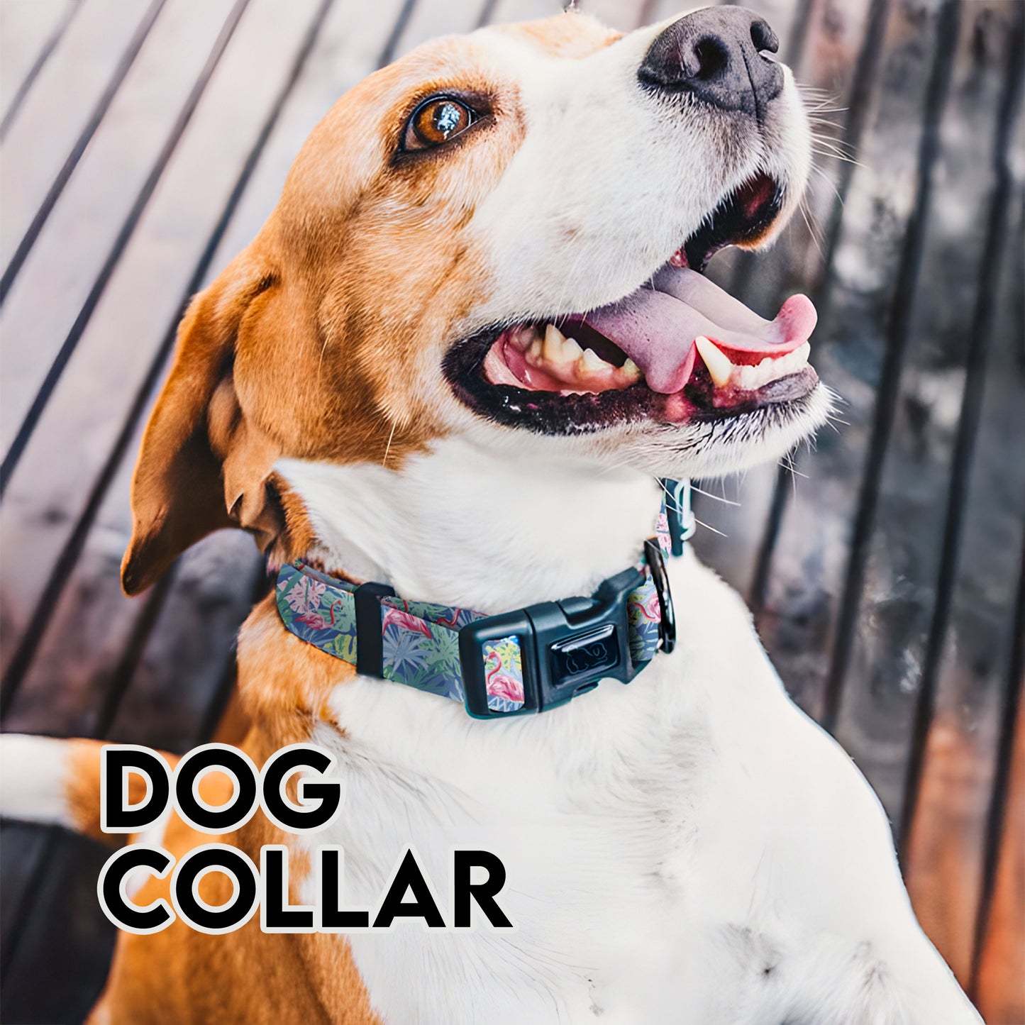 Timeless Elegance Houndstooth Dog Collars That Never Go Out of Style