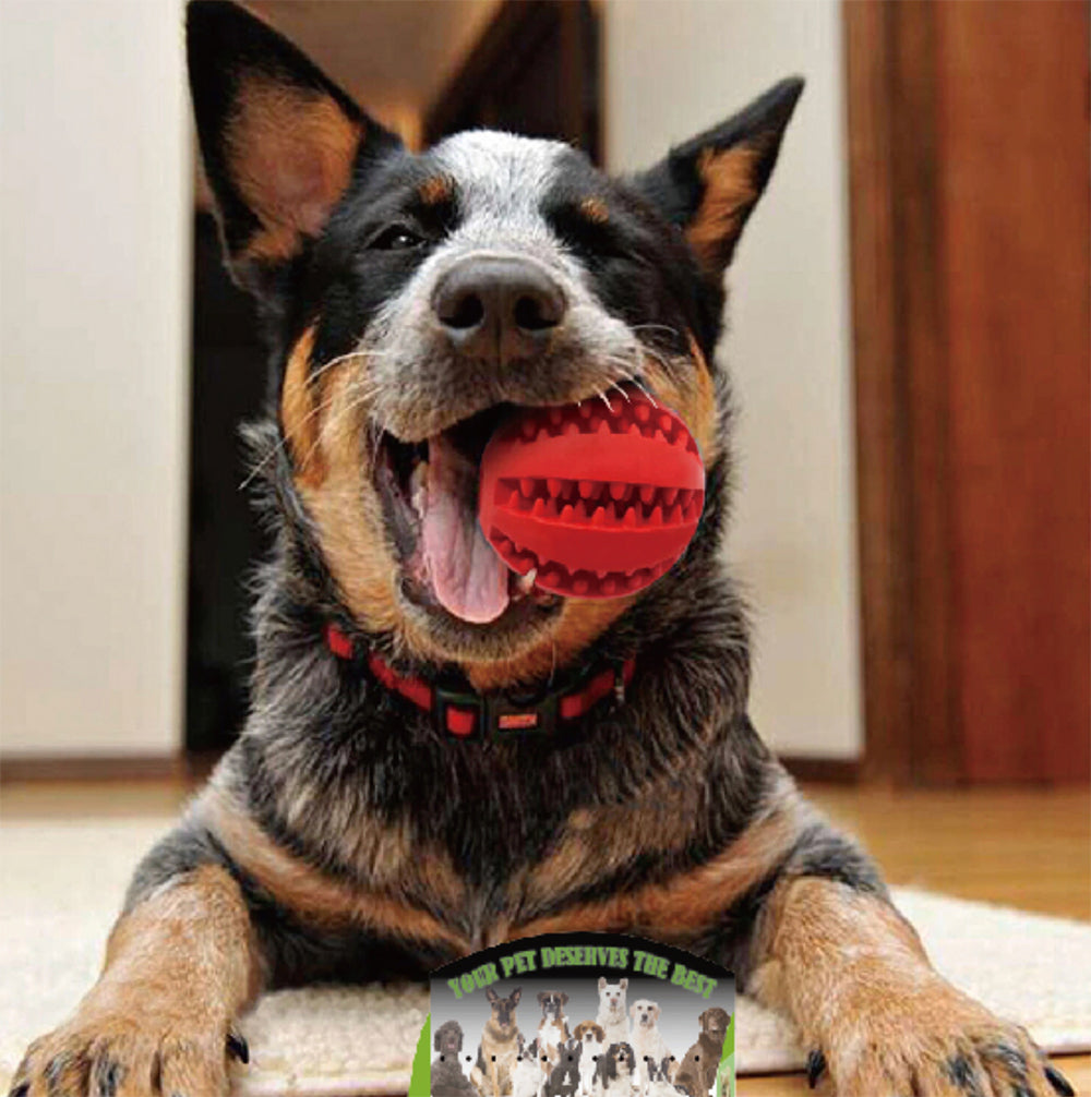 Blue Nontoxic Bite Resistant Durable Toy Ball