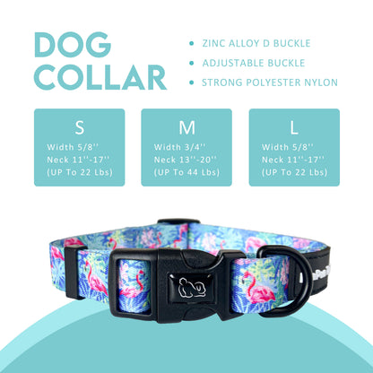 Funky Dog Collars The Spectrum Postman Collection  Bold, Bright, and Unforgettable