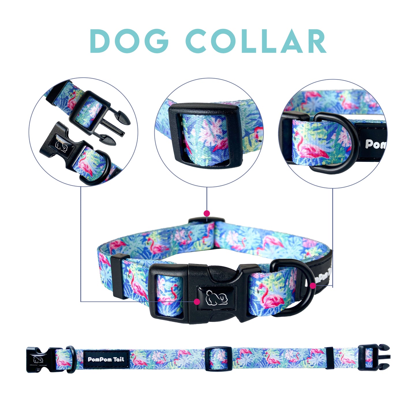 Funky Dog Collars The Spectrum Postman Collection  Bold, Bright, and Unforgettable
