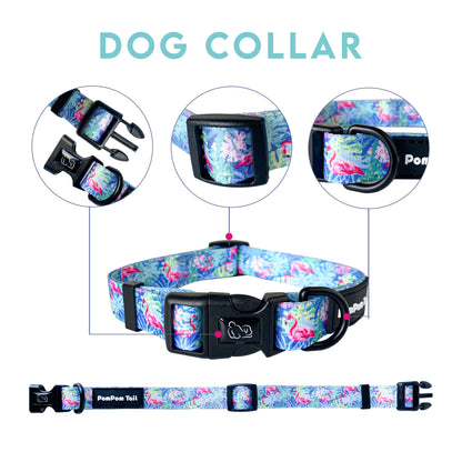 Funky Dog Collars The Spectrum Postman Collection  Bold, Bright, and Unforgettable