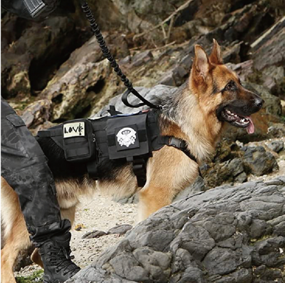 POMPOM TAIL Pet Tactical Training Backpacks