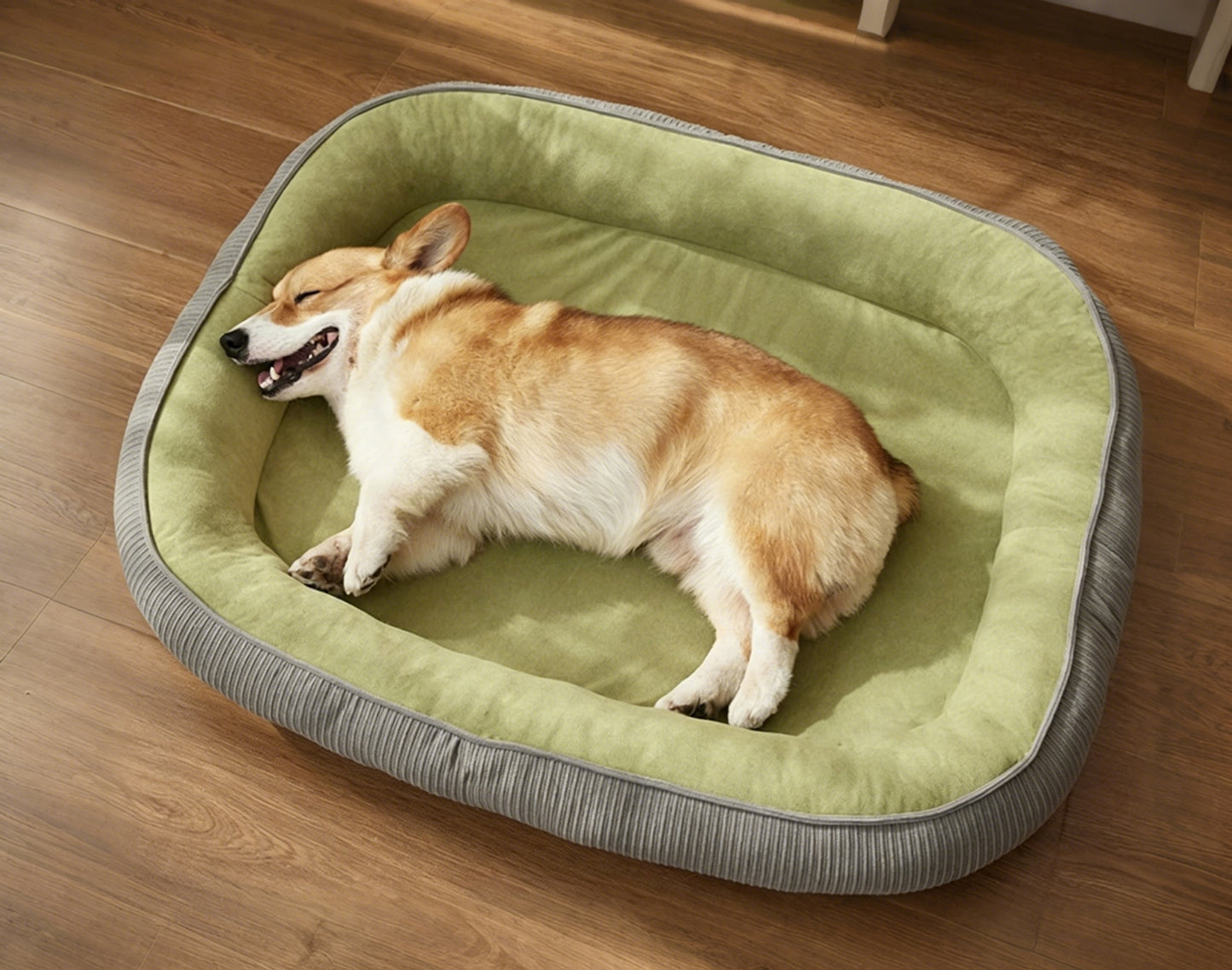 POMPOM TAIL Dog Kennels