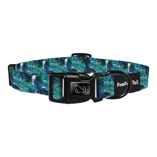 Dog Collars in the Secret Land Design Exploring a Natural Sanctuary of Tropical Forests and Exotic Plants