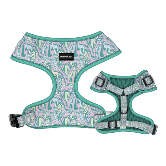 Dog Harness for Large and Small dog  Spectrum Postman Design   Bold, Vibrant, and Ready for Adventure