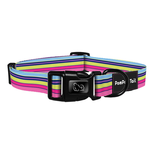 Dog Collars  Stripe World  A Vibrant Spectrum of Colorful Adventures