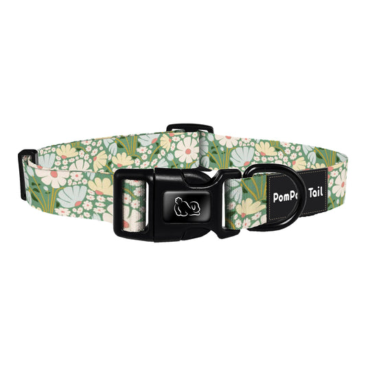 Personalized Dog Collars Daisy Collection Embrace the Countryside Charm of Spring