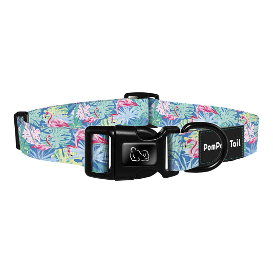 Custom Dog Collars Flamingo Design  Where Practicality Meets Style