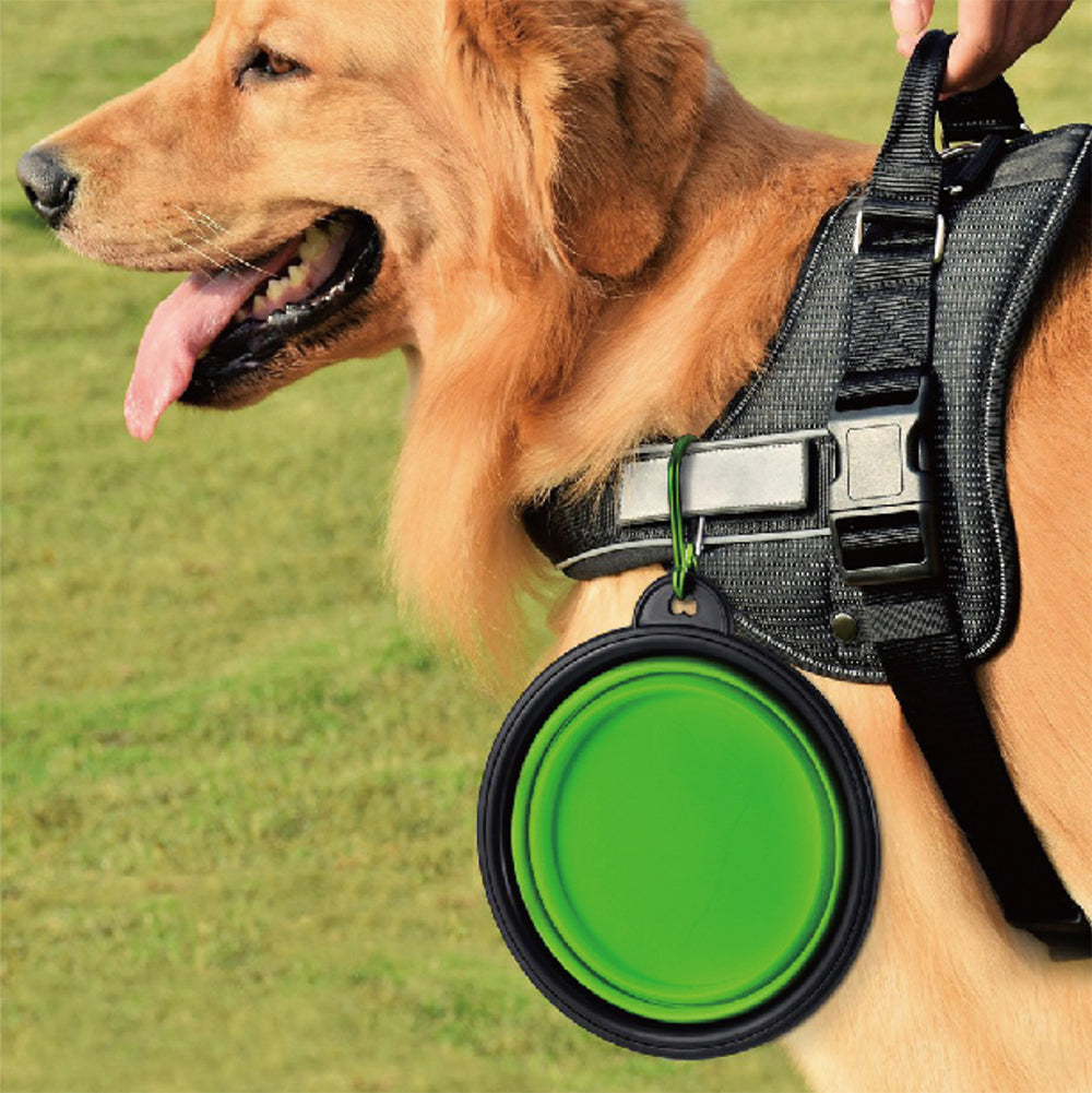 Blue Collapsible Dog Bowl