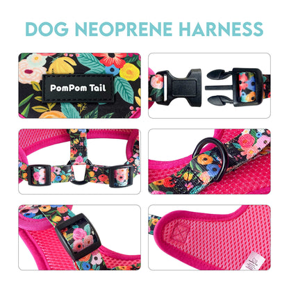 Bull Rodeo Design Dog Harness Rugged Style and Bold Adventure for Your Pup