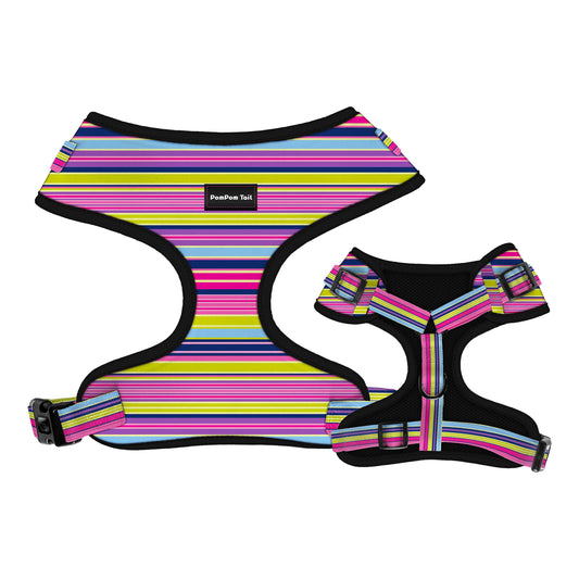 Dog Harness Near You With Different Stripe   Design Vibrant and Stylish Comfort for Your Pup