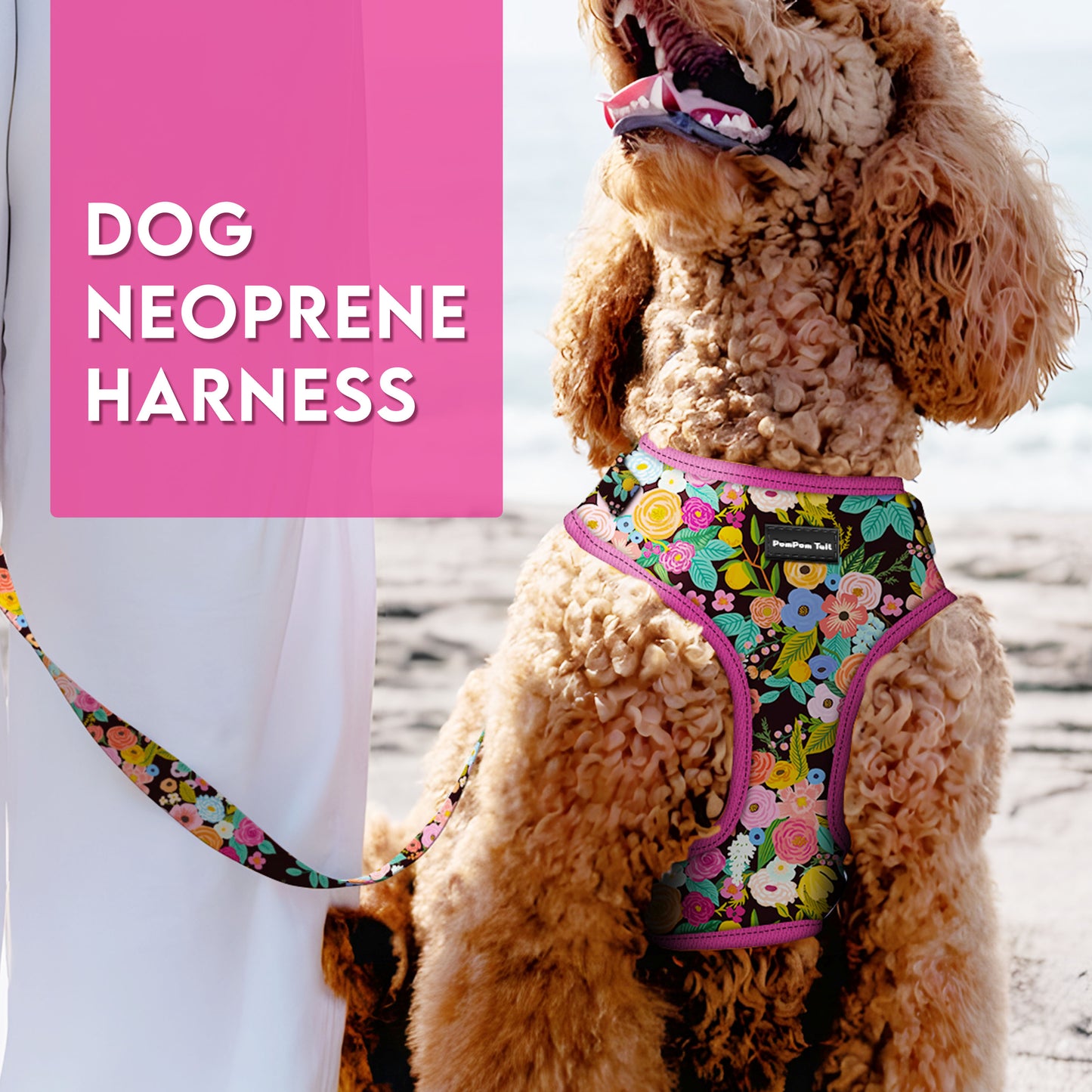 Bull Rodeo Design Dog Harness Rugged Style and Bold Adventure for Your Pup