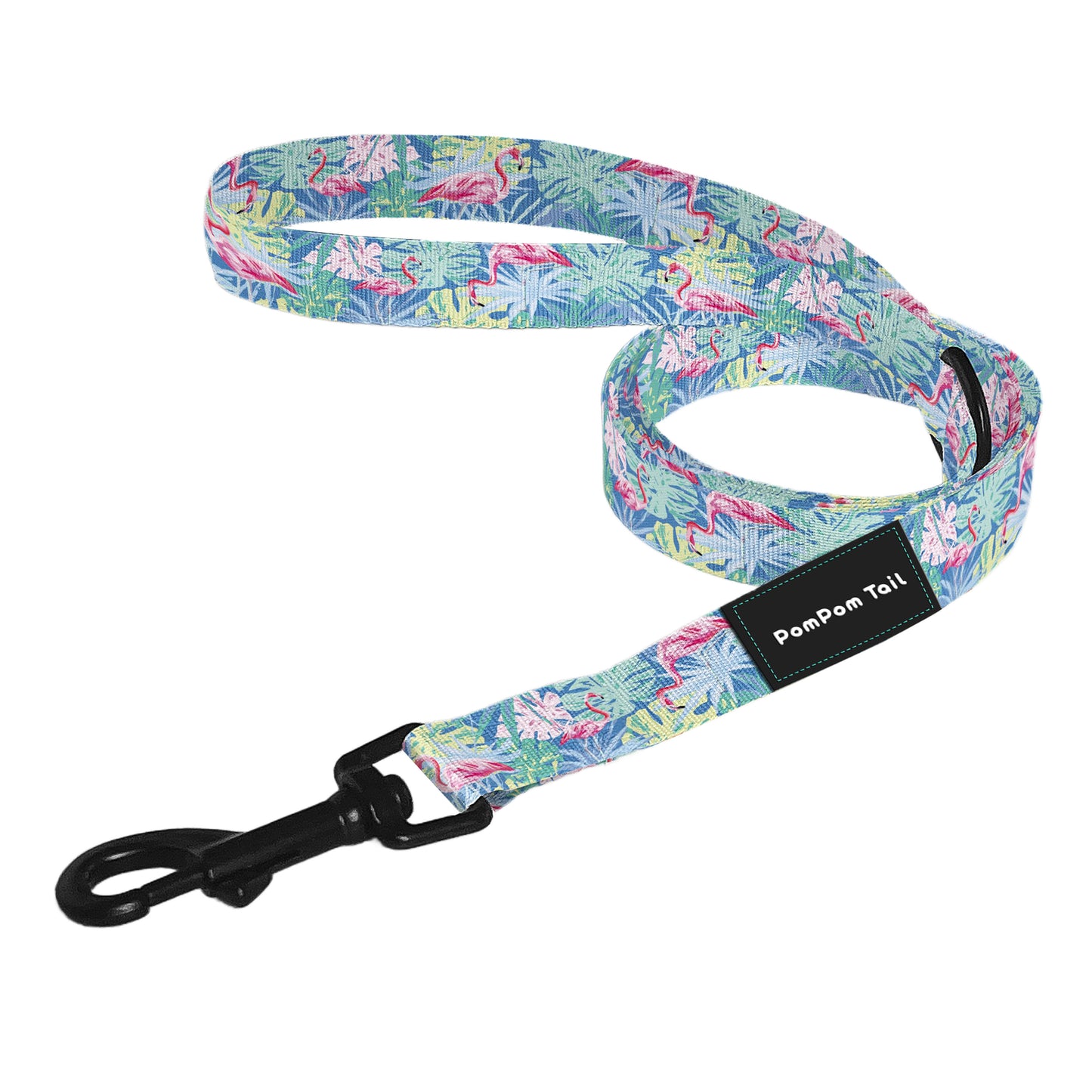 Dog Leash