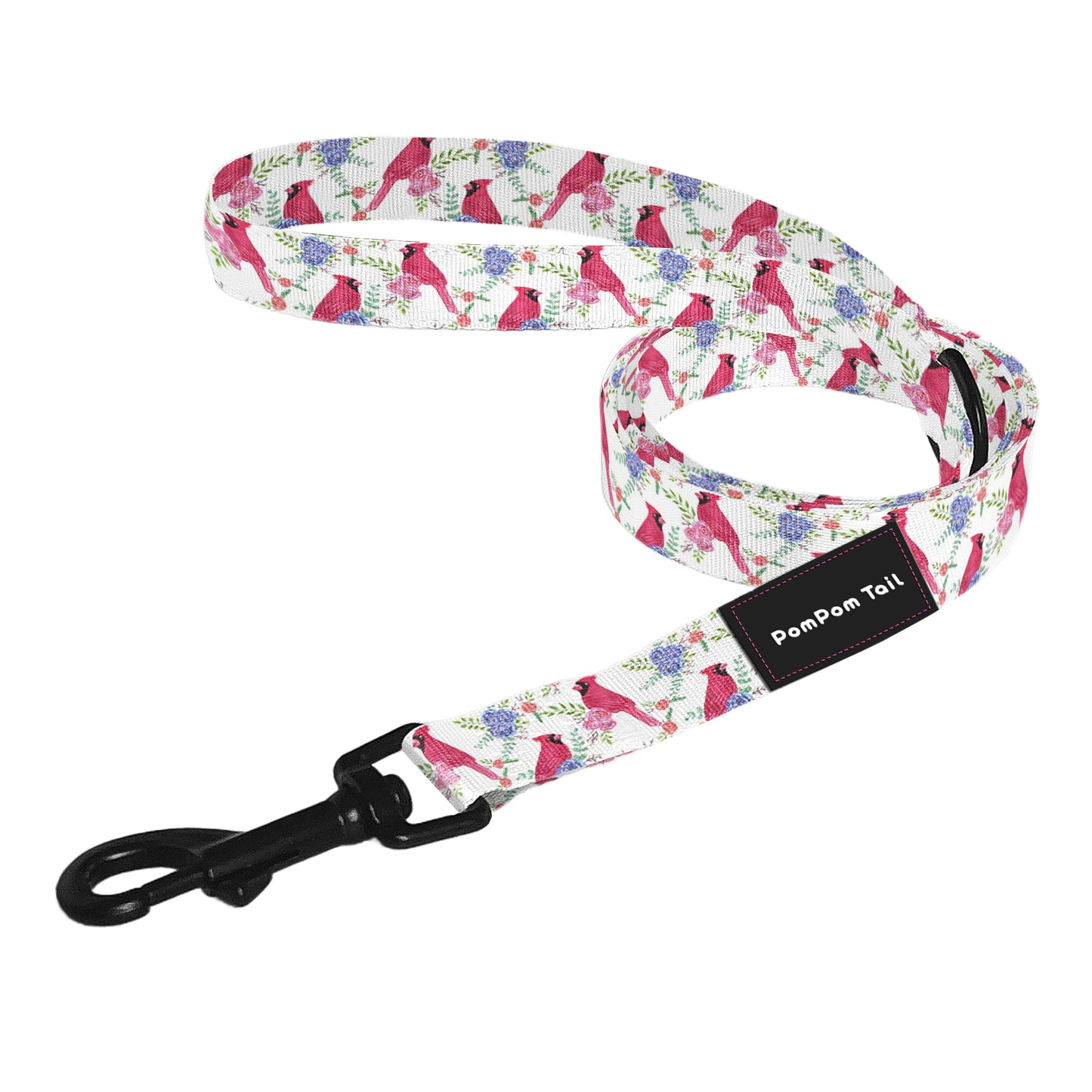 Dog Leash