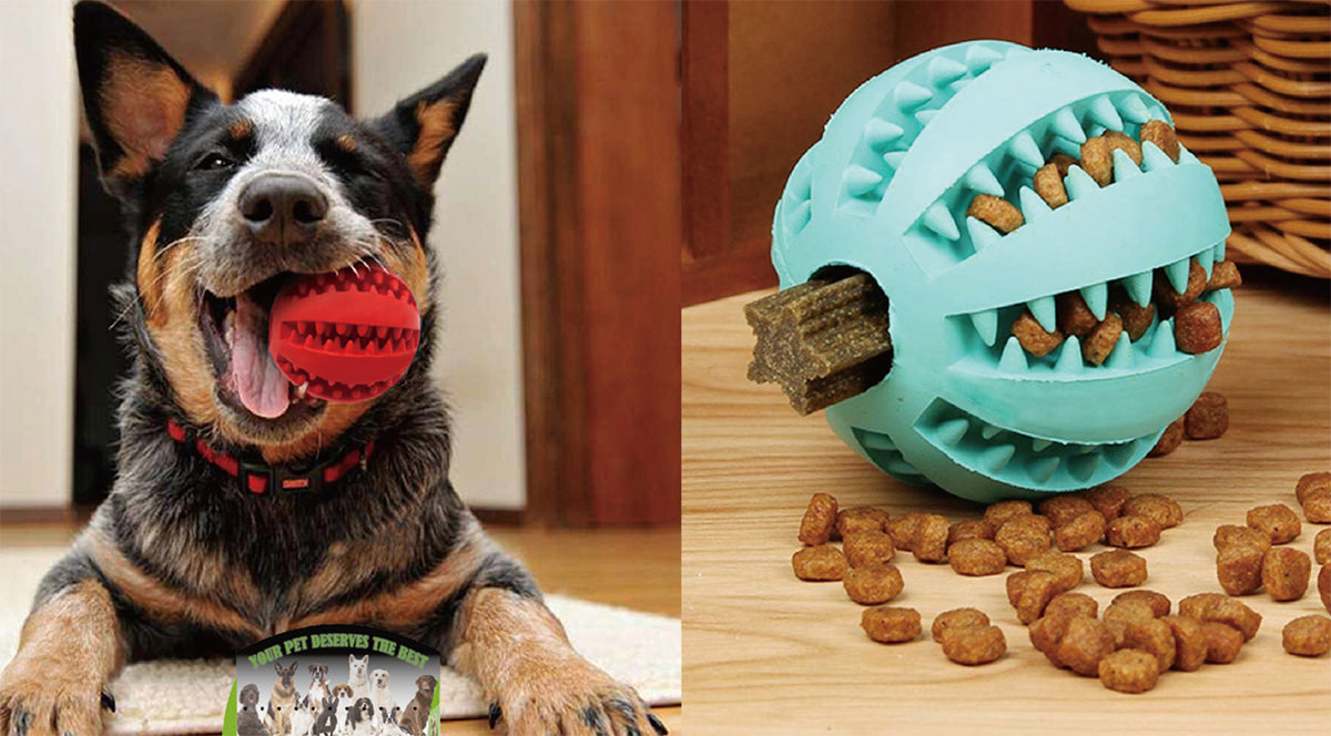 POMPOM TAIL Toys for Domestic Pets