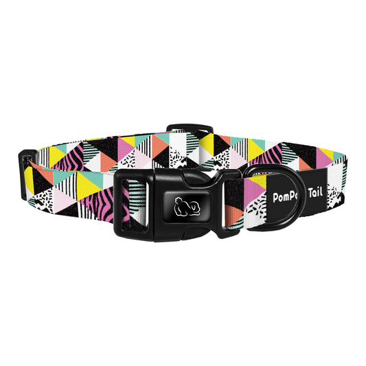 Dog Safety Collar Unlock the Mystery Code A Touch of Mystery and Youthful Adventure