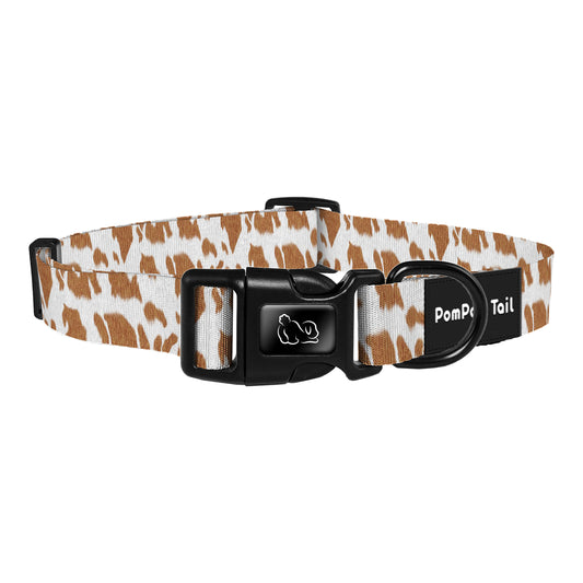 Nice Dog Collars Star Leopard  Where Fashion Meets Fierce